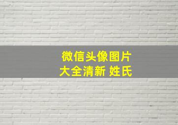 微信头像图片大全清新 姓氏